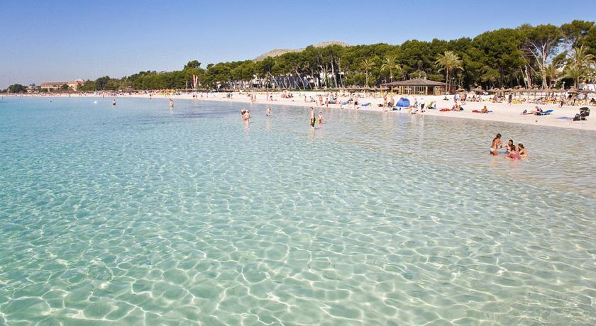 A10 Solecito Alcúdia